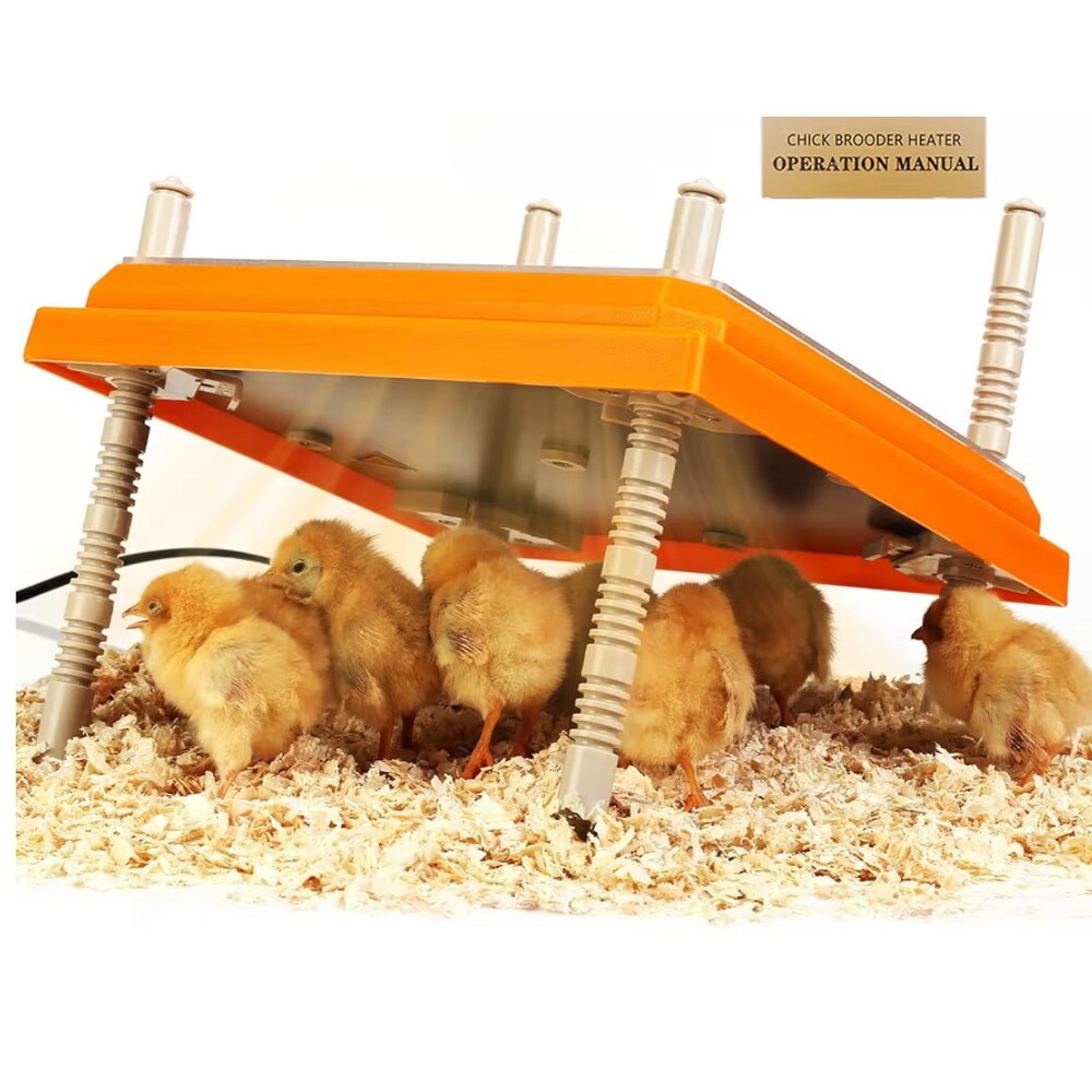 Brooder Heater for Chicks Height Adjustable Heating Plate 10x10 15 Chicks